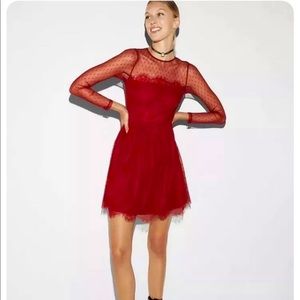 Gorgeous red lace mini dress